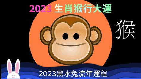 紅龍品種 2023猴年運勢